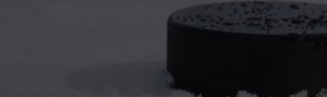 hockey training brantford